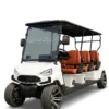 txv-electric-golf-carts Premium luxury electric golf cart with leather seats, 72V battery, Bluetooth audio, LED ambient lighting. Designed for high-end resorts and exclusive venues. 5-year warranty.